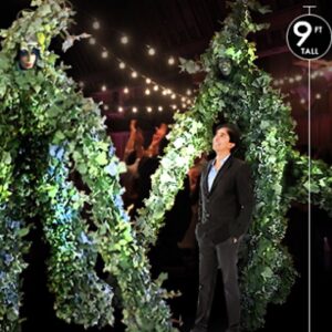 Tall Plant People (LV1)-image