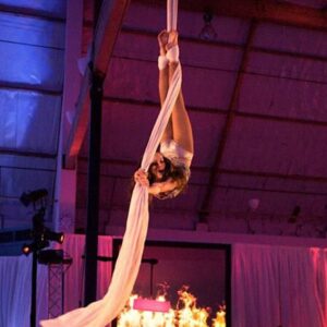 Aerial Silks (LV2)-image