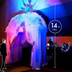 Living Entrance Dress (LV1)-image