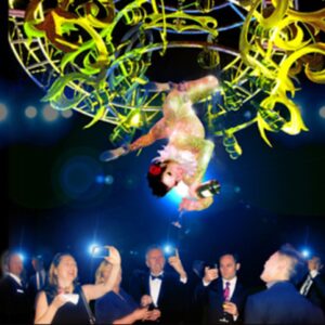 Aerialist Bartender & Chandelier (LV1)-image