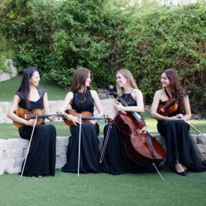 Instrumental Act - Strings (LV6)-image