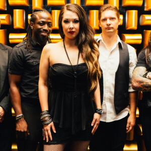 R&B / Soul (LV1)-image