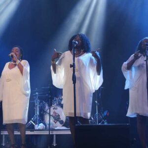 Multi Genre (LV1)-image