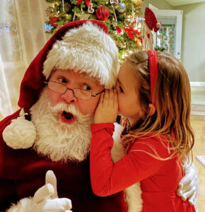 Santa Claus (LV1)-image