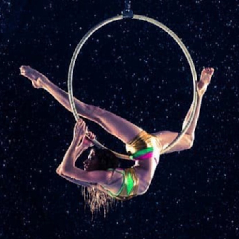 Aerial Hoop (LV1)-image