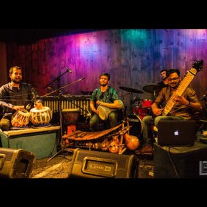 Sitar Player (LA1)-image