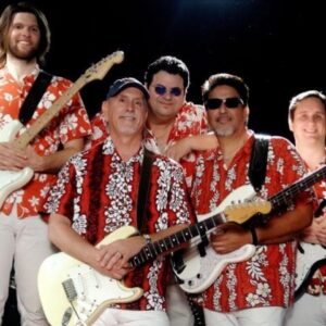 Beach Boys Tribute (LA1)-image