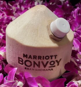 Branded Coconuts (LV1)-image