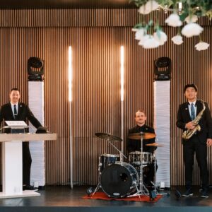 DJ / MUSICIANS / ROAMING TALENT (PA1)-image