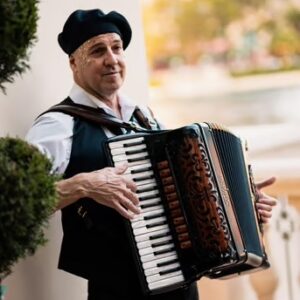 Accordion Player (LV3)-image