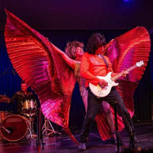 Tina Turner Tribute (AZ1)-image